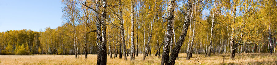 Wandern auf der Breiten Heide